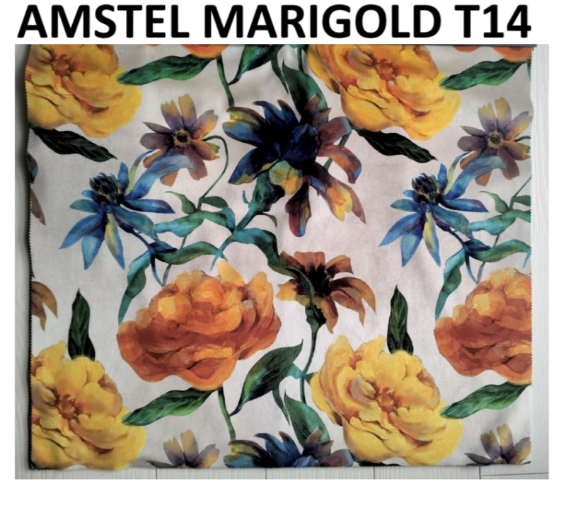 AMSTEL MARIGOLD T14