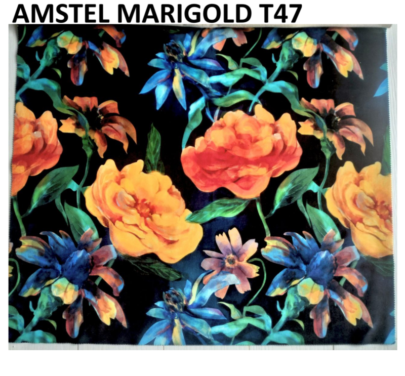 AMSTEL MARIGOLD T47