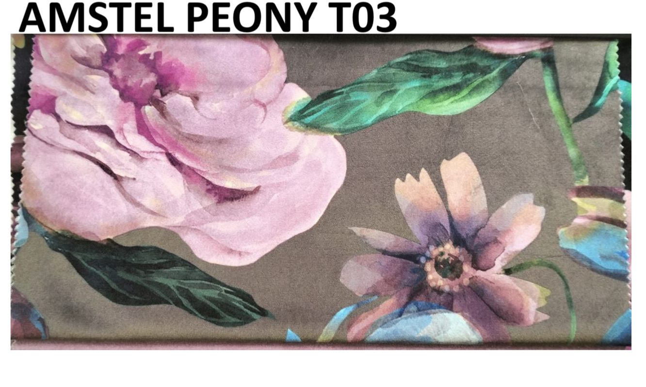 AMSTEL PEONY T03