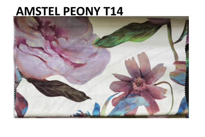 AMSTEL PEONY T14