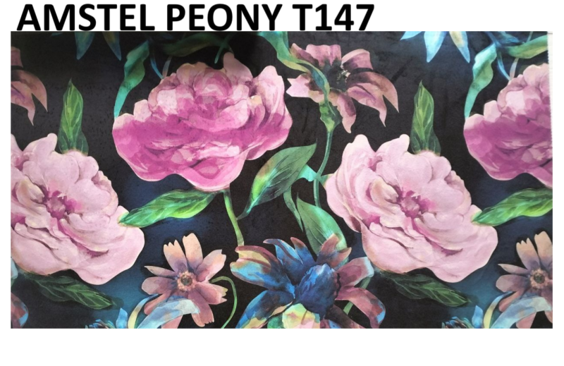 AMSTEL PEONY T147
