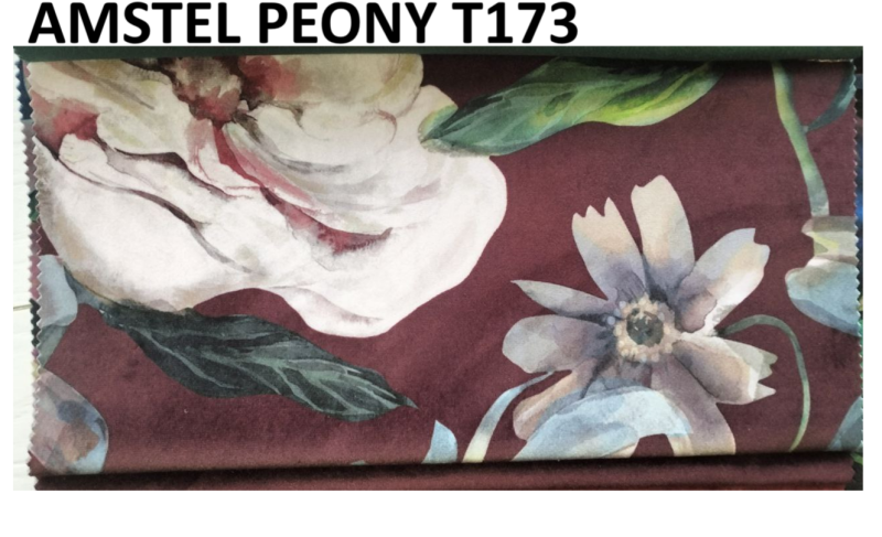 AMSTEL PEONY T173