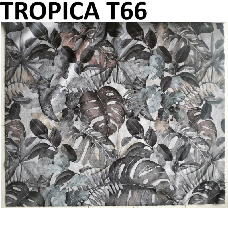 TROPICA T66